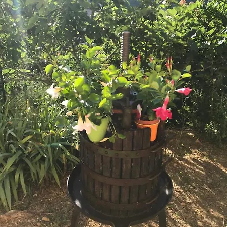 Marina 公寓 菲纳莱利古雷