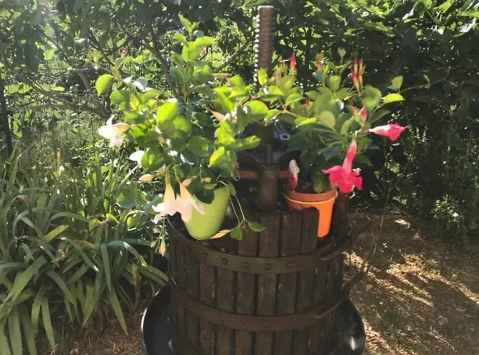 Marina Appartement Finale Ligure